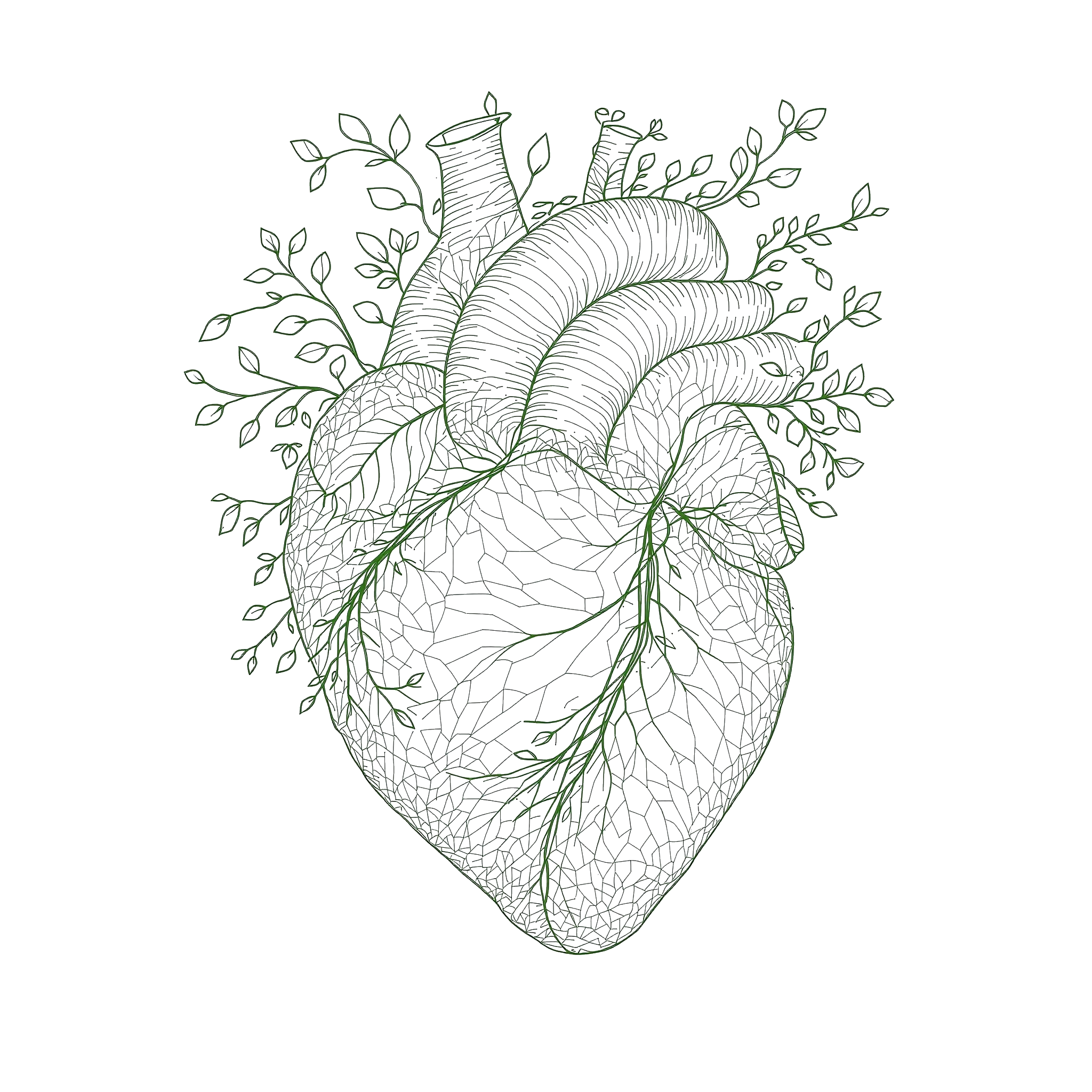 Organbeschwerden – Herz mit Blatt